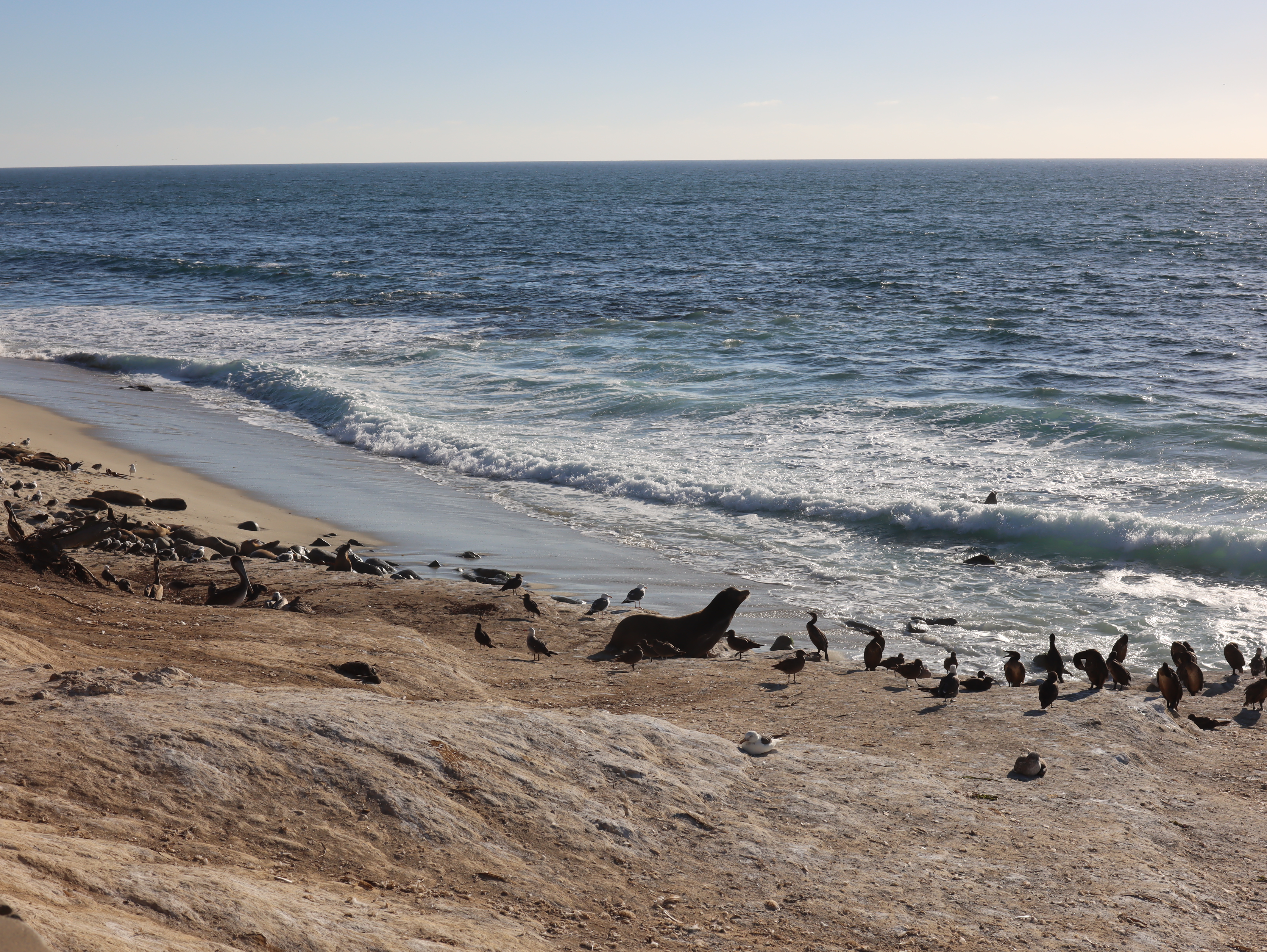 San Diego scenery