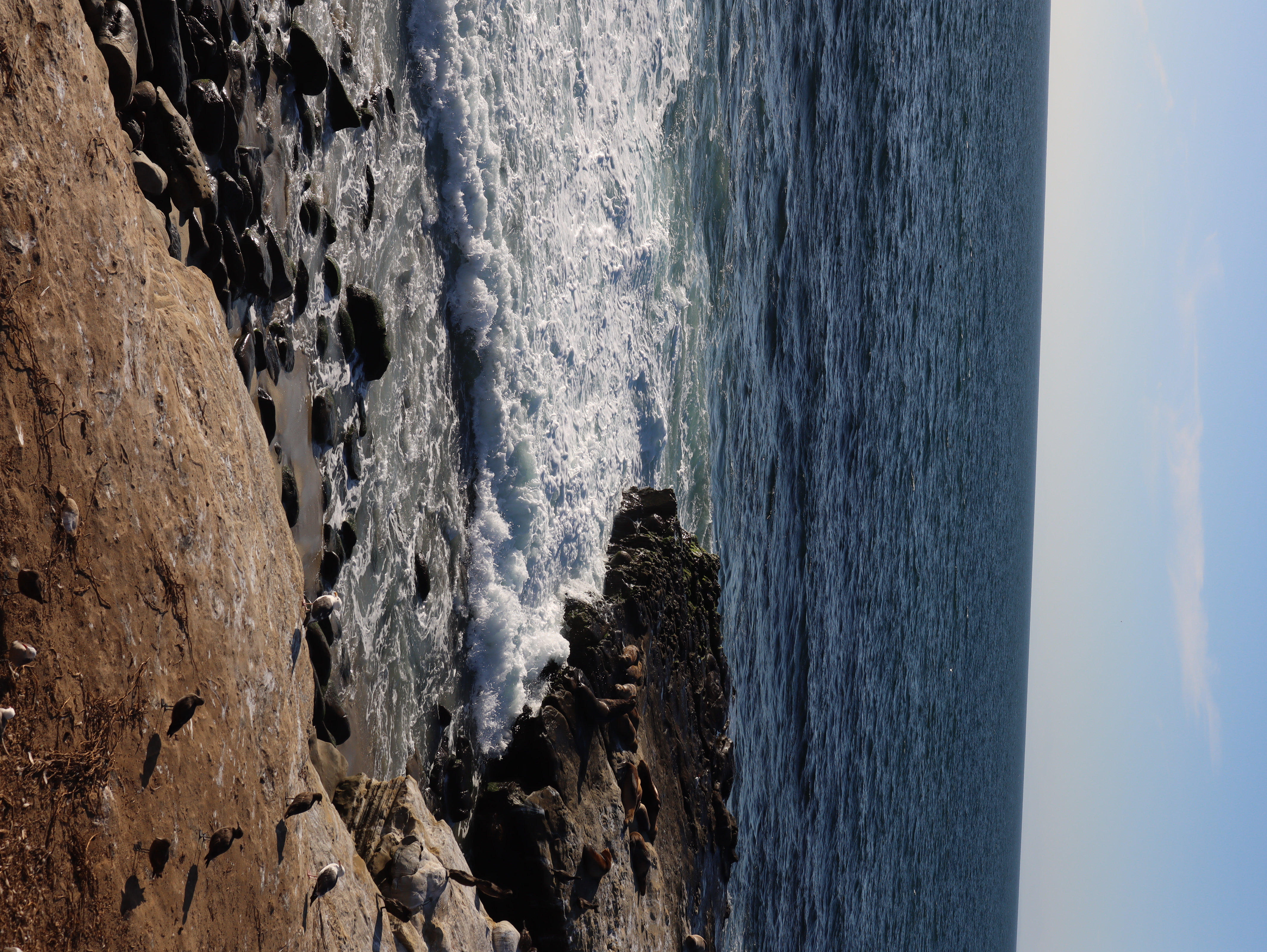 San Diego scenery