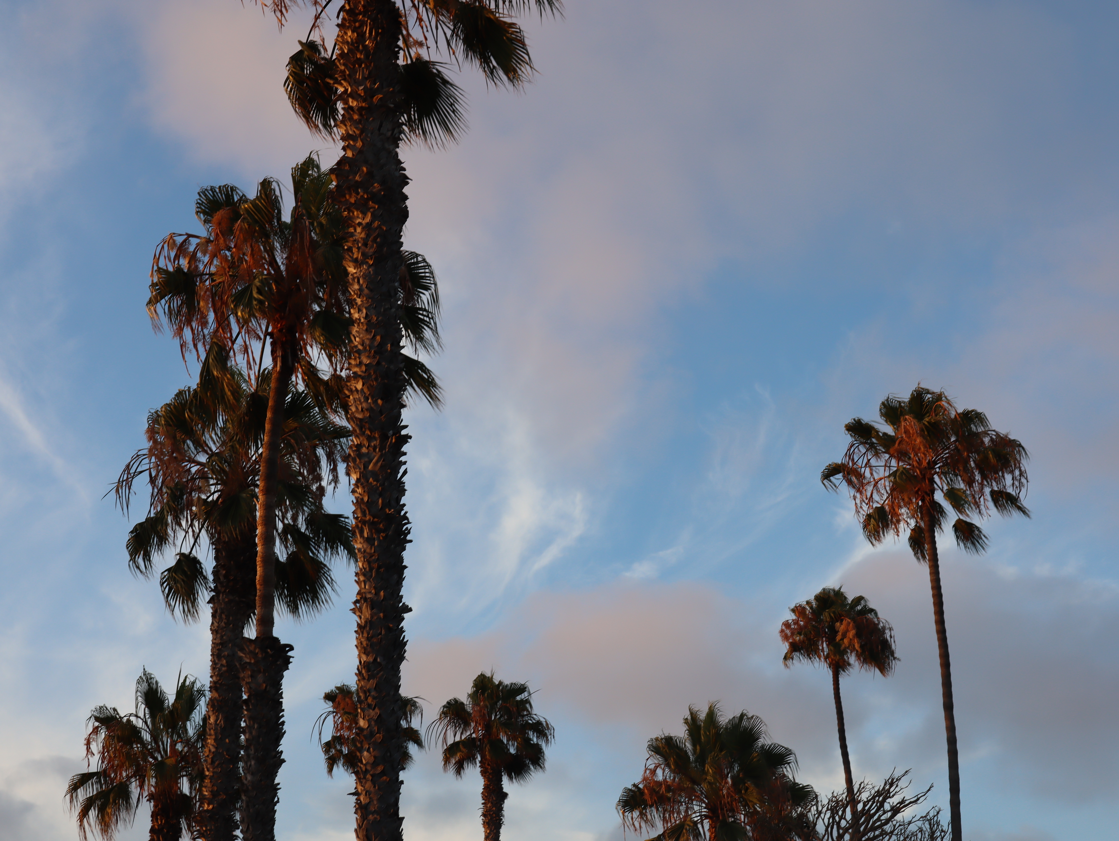 San Diego scenery